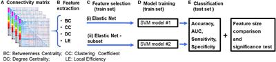 Functional Disruptions of the Brain in Low Back Pain: A Potential Imaging Biomarker of Functional Disability